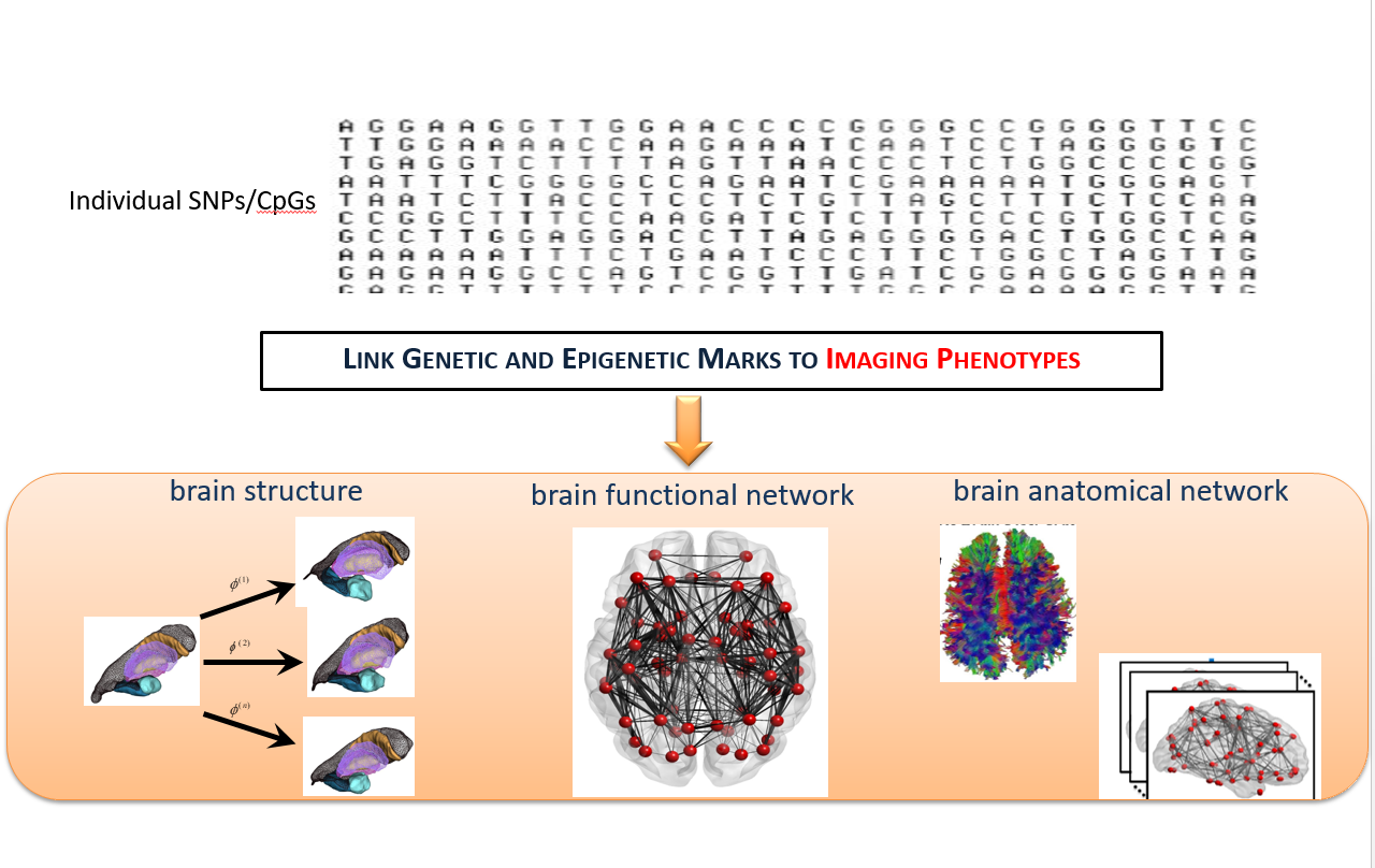 signal processing