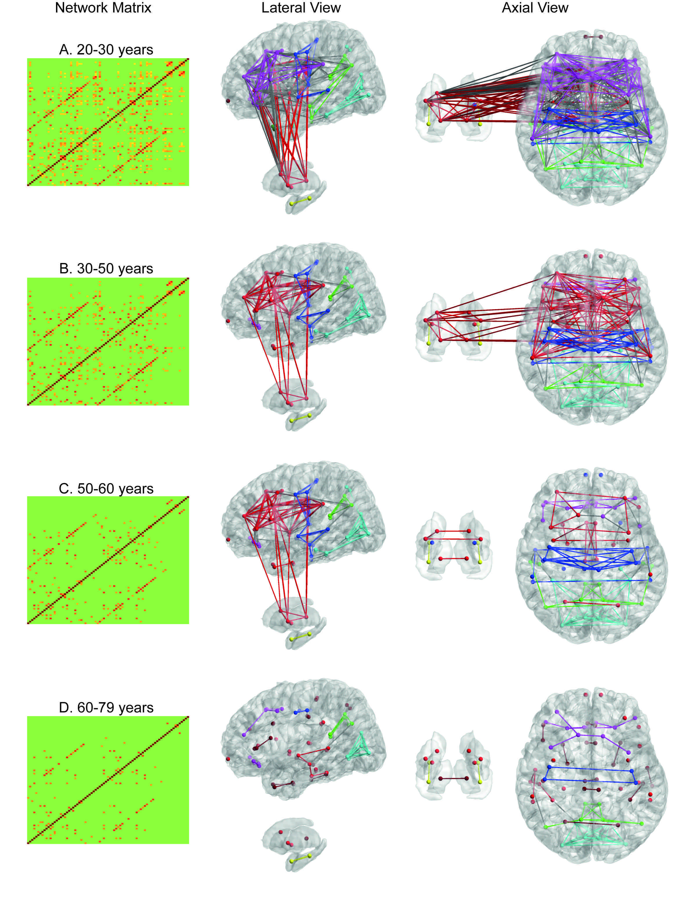 manifold learning_anatomical shapes